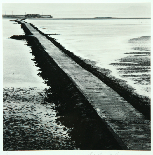 마이클게나(중도 화도노두)