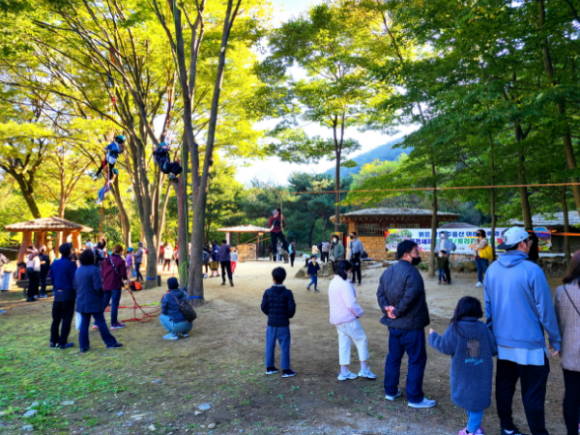 문경새재 숲밧줄/트리클라이밍 체험 성공적 개최