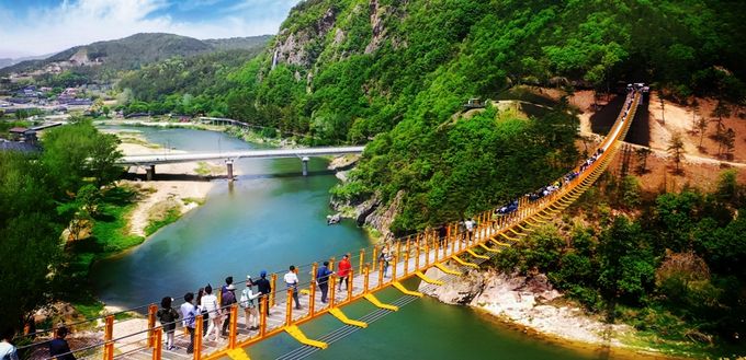 금산군, 월영산 출렁다리 누적 방문객 10만 명 돌파