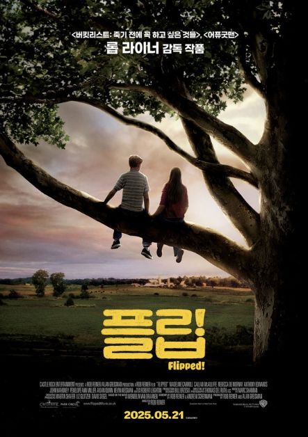 플립
