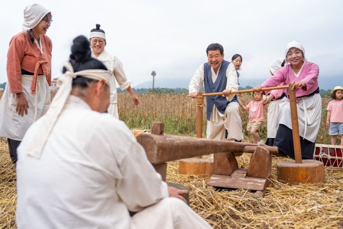 보리타작 체험 행사