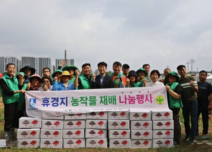 수원시 권선구 새마을지도자협의회, 사랑의 감자 수확 및 나눔