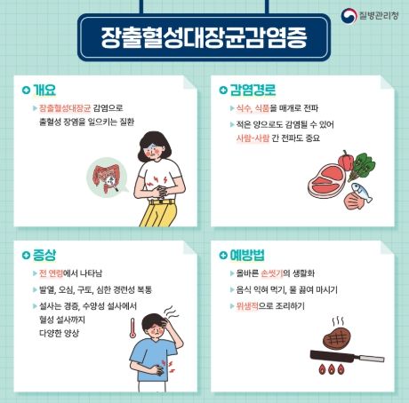 안양시보건소, 장출혈성대장균감염증 환자증가…주의 당부