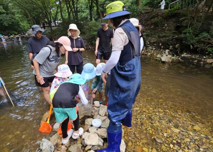 금산산림문화타운 여름철 특별프로그램 모습
