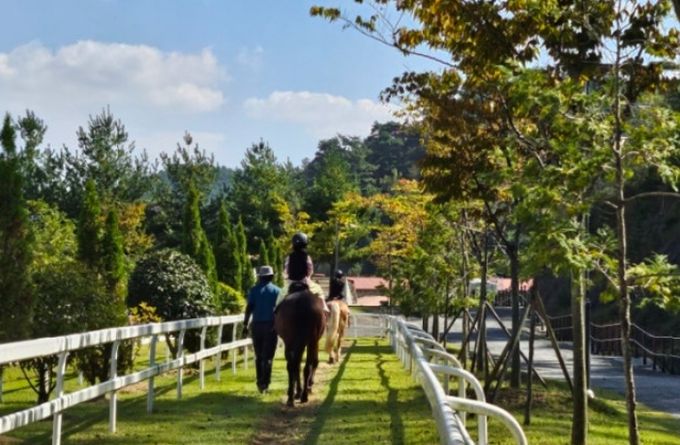 승마와 함께하는 더 특별한 함안 여행