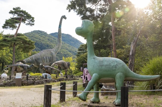 아기 공룡 둘리가 애타게 찾던 엄마, 칠곡군에 나타났다
