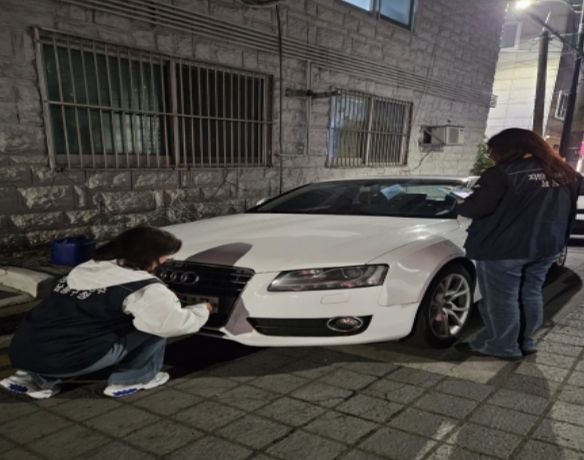 과태료 체납 차량 번호판 야간 영치 단속
