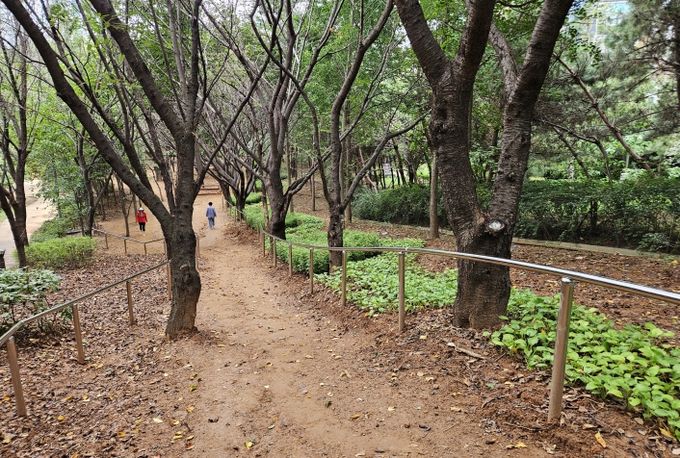 남동구, 전재울근린공원 맨발산책로 정비