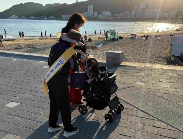 송정해수욕장서 ‘펫티켓 민·관 합동캠페인’실시