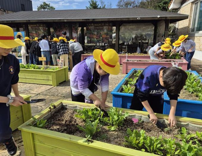 금초권역센터 치유농장 금초정원 프로그램