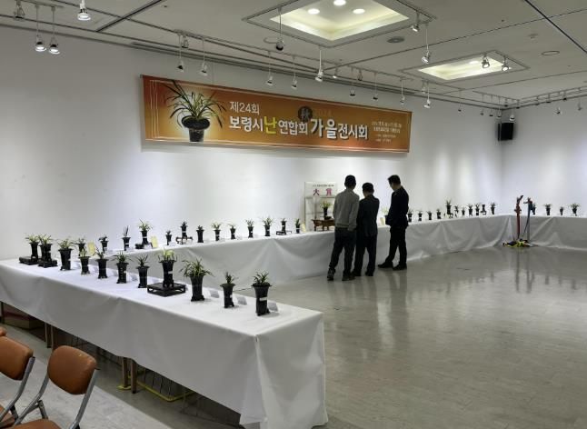 2024년 난 연합회 가을전시회 사진