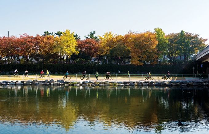 단풍과 함께 달리는 대구 힐링 라이딩 코스 7선!