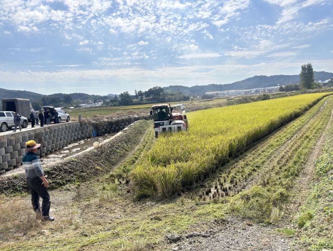 부여읍 행복 나눔 벼 베기 행사