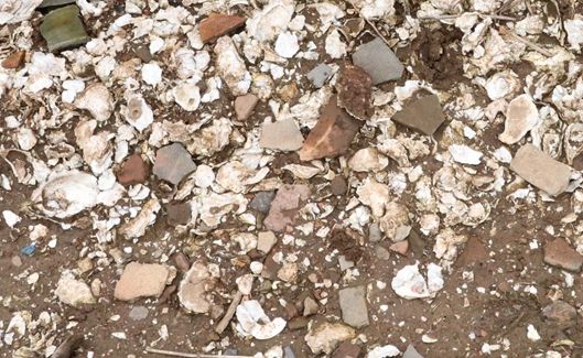 군산시 소재 패총유적 학술조사연구