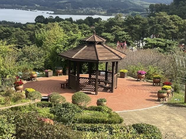 봉수산수목원 내 국화꽃 만개 모습