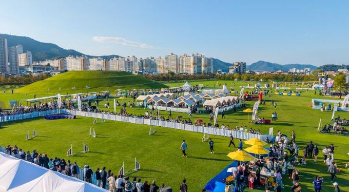 2025년 반려동물 문화한마당 행사장 전경