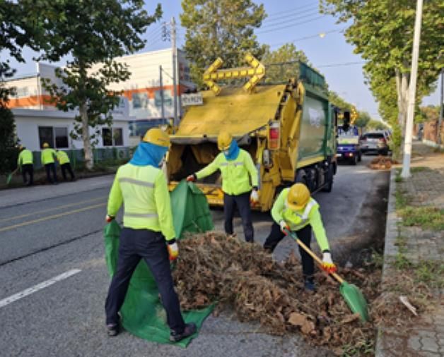 군산시, 낙엽쓰레기 무상수거 특별처리기간 운영