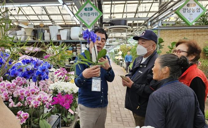‘양재동 꽃시장’ 현장 체험 사진