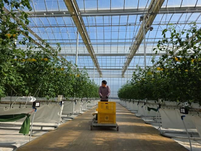 남원시, 26년 청년창업 스마트팜 패키지 지원사업 예산확보