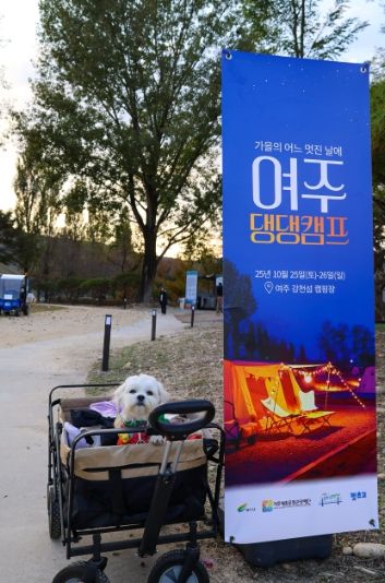 여주세종문화관광재단, 반려동물과 함께하는 1박 2일 ‘댕댕캠프’ 운영