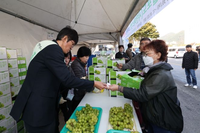 무주 반딧불 샤인머스켓 판촉행사