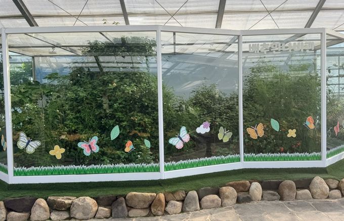 연결·혁신·번영의 ‘APEC’ 나비, 함평에서 날다