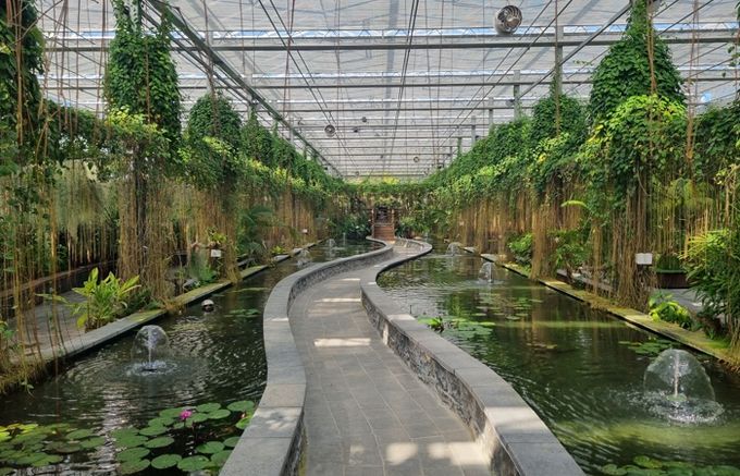 정글 속으로! 함평군 ‘수생식물관’, 이색 연출 인기 만점