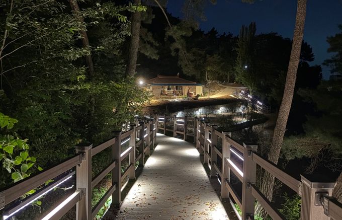 호가정 산책로 야경 사진