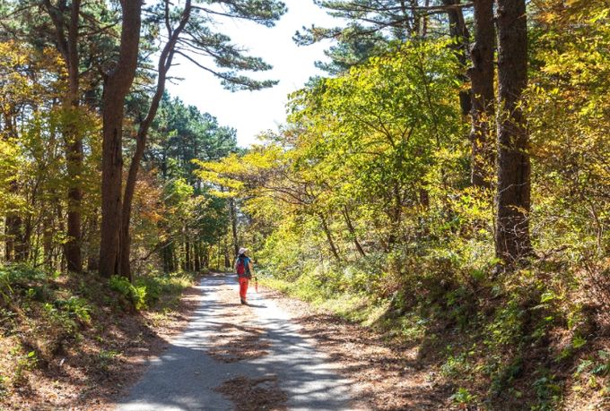 ‘광양백운산 둘레길’