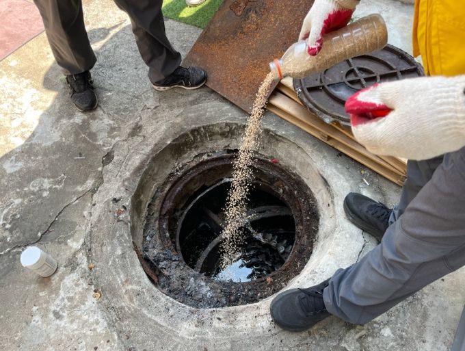 ‘모기와의 전쟁’ 동절기 정화조 모기유충 집중방제