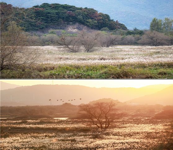 화포 조명훈 사진가