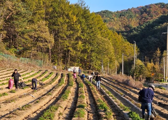 제천교육지원청“공감 동행”하반기 봉사활동 실시