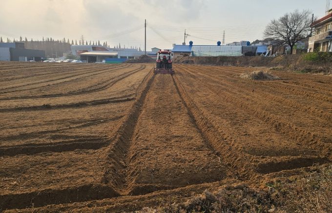 ‘늦파종’ 대비 밀·보리 재배관리 기술법 안내
