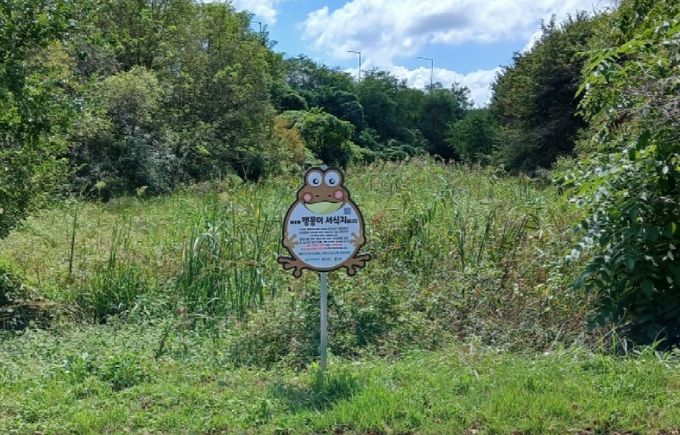 하기동에 설치된 맹꽁이 서식지 표지판