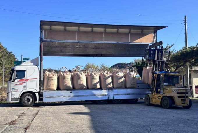 진안군, 벼 보급종(해담쌀) 채종단지 품질 우수