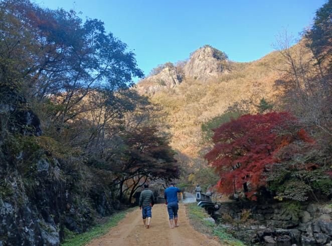 담양 가마골생태공원, 단풍길 따라 걷기 좋은 흙길 산책로 조성