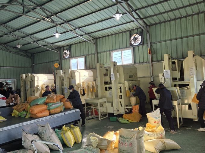 구례군, 콩 선별장 무상 운영