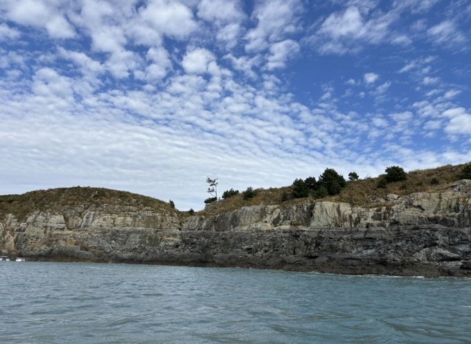 봉래면 곡두도 등 특정도서 6개소 정기순찰
