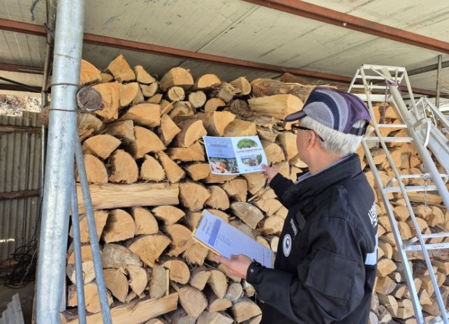 가을철 소나무류 이동 특별단속