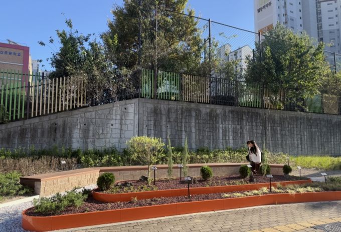 자녀안심 그린숲 조성(포산초등학교 인근에 조성된 그린숲을 따라 등교하는 학생들)