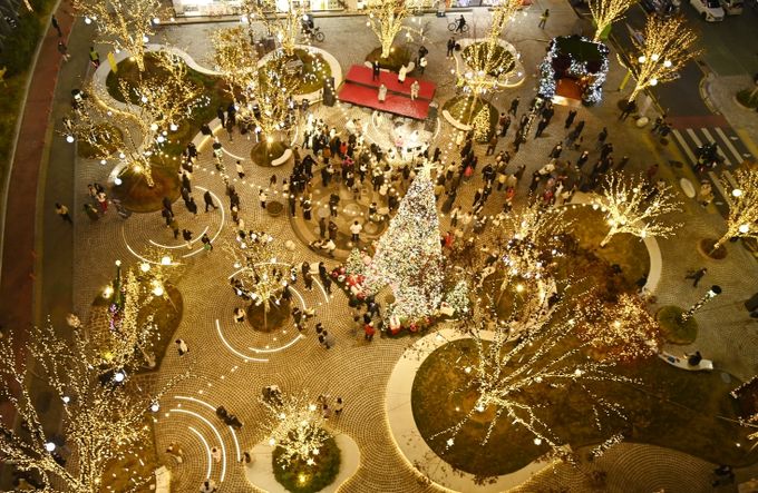 달성군 ‘다사광장’