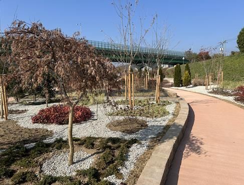 최근 불로동 1107-1번지 불로천 둔치에 생활밀착형 숲(실외정원) 조성사업을 완료했다.