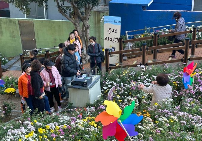 「나 또한 꽃이 되는, 좌천 국화축제」 개최