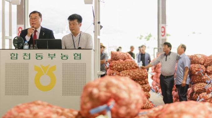 합천군, 산지공판장 경매 수수료 지원으로 농가 부담 완화