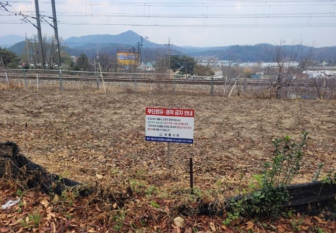 무단점유 일제정리