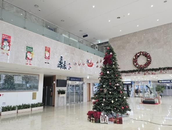 예산군청사 크리스마스 트리 모습