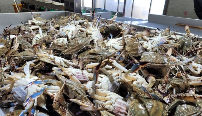 진도군, 해양수산부 공모사업 선정