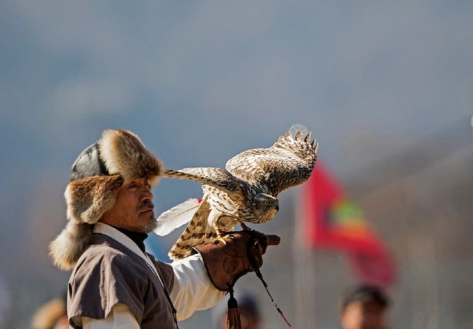 보유자 박용순 응사, 참매 훈련 과정과 매사냥 공개
