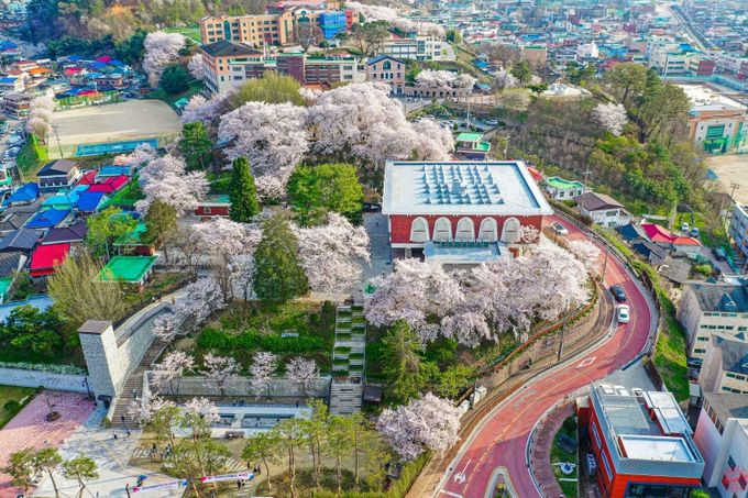 2025년 공립박물관 평가인증 ‘4회 연속’ 우수기관 선정