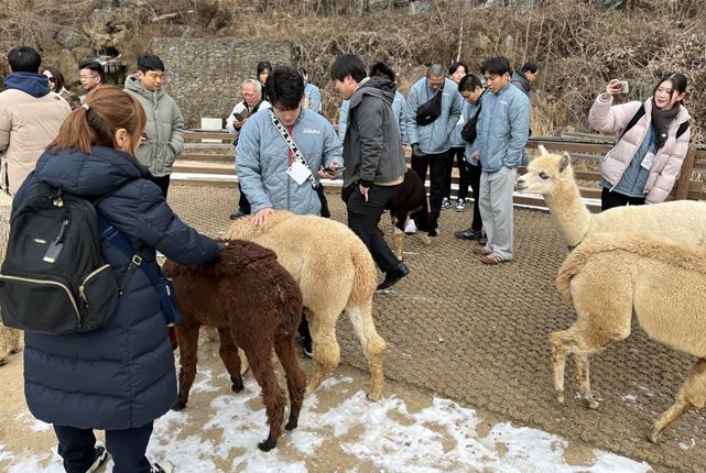 스포츠 투어상품 운영 현장